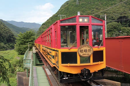 *(梅田発・洋食プラン)嵯峨野トロッコ列車 宇治川お花見遊覧・八幡山ロープウェイ 京滋屈指の3つの桜遊覧 日帰り 嵯峨野トロッコ・宇治川遊覧・八幡山ロープウェイで桜の絶景をお楽しみ♪1